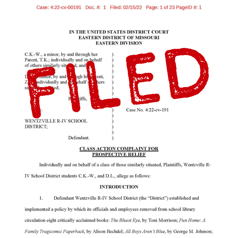 This image shows the plaintiffs' original complaint, partially covered by large red text that reads "FILED."